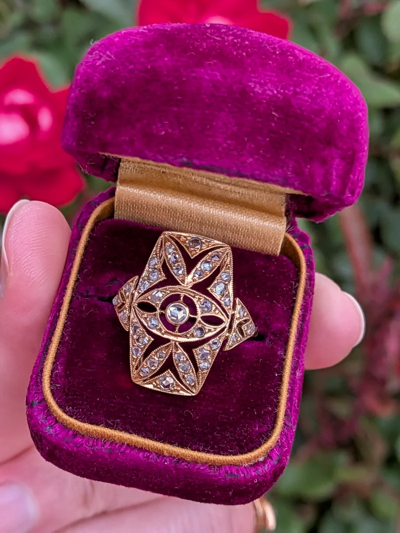 The Shield — image 1
